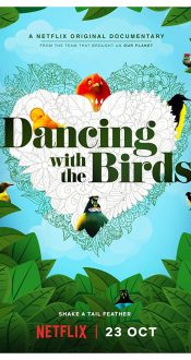 رقص با پرندگان – 2019 Dancing with the Birds