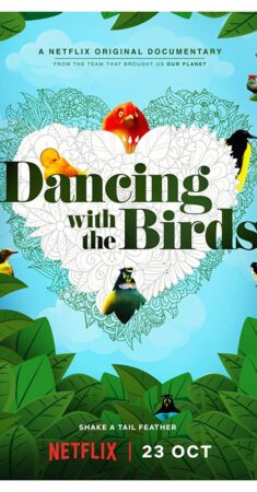 رقص با پرندگان – 2019 Dancing with the Birds