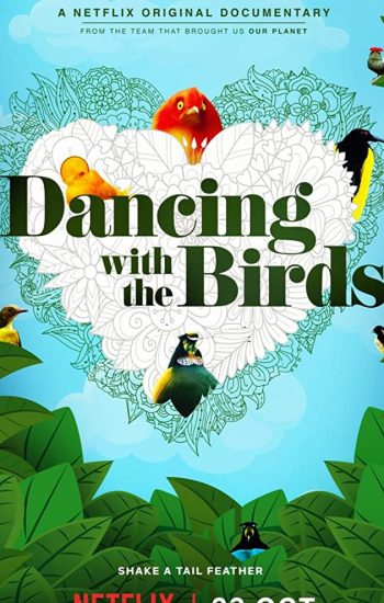 رقص با پرندگان – 2019 Dancing with the Birds