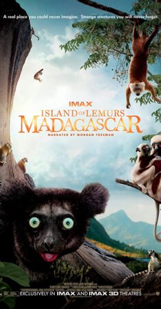 جزیره لمورس : ماداگاسکار – 2014 Island of Lemurs