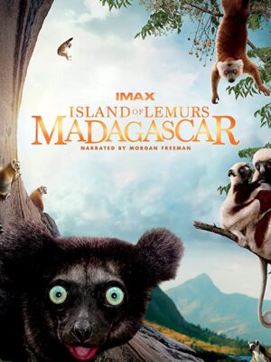 جزیره لمورس : ماداگاسکار – 2014 Island of Lemurs