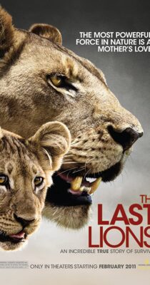 آخرین شیر – 2011 The Last Lions