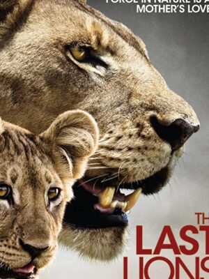 آخرین شیر – 2011 The Last Lions