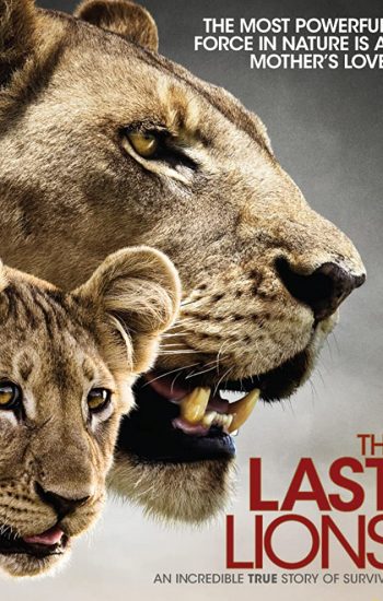 آخرین شیر – 2011 The Last Lions