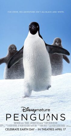 پنگوئن – 2019 Penguins