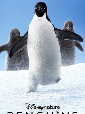 پنگوئن – 2019 Penguins