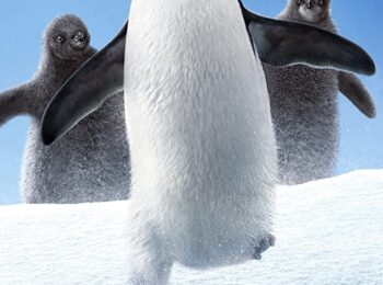 پنگوئن – 2019 Penguins