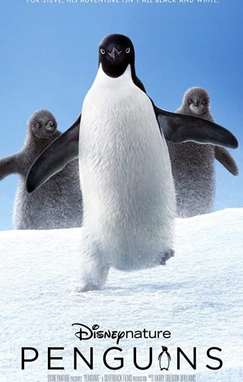 پنگوئن – 2019 Penguins