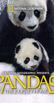 پانداها: بازگشت به خانه – Pandas: The Journey Home 2014