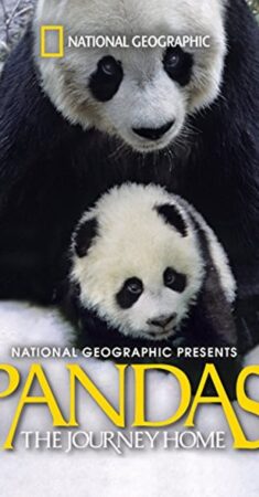 پانداها: بازگشت به خانه – Pandas: The Journey Home 2014