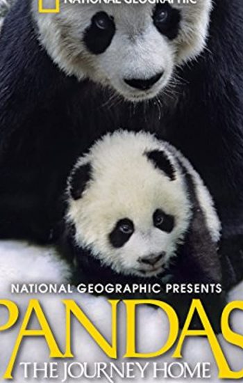 پانداها: بازگشت به خانه – Pandas: The Journey Home 2014