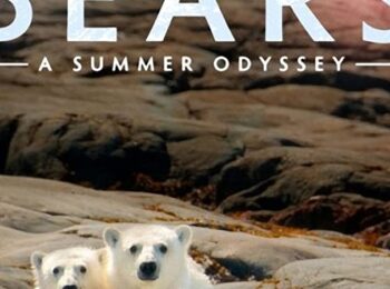 خرسهای قطبی : یک سفر تابستانی – 2021 Polar Bears