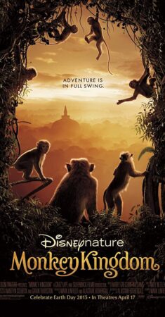 قلمرو میمون‌ها – 2015 Monkey Kingdom