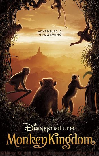 قلمرو میمون‌ها – 2015 Monkey Kingdom